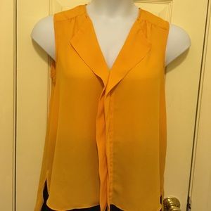 Atmosphere Sleeveless Semi-sheer Blouse